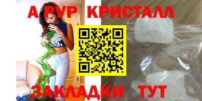 спайс Гусев