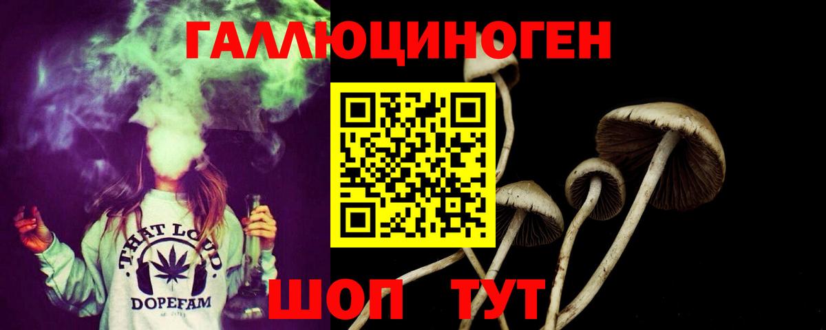 Галлюциногенные грибы мицелий  где купить наркоту  Галлюциногенные грибы Psilocybe  Нижневартовск  Вход с VPN 